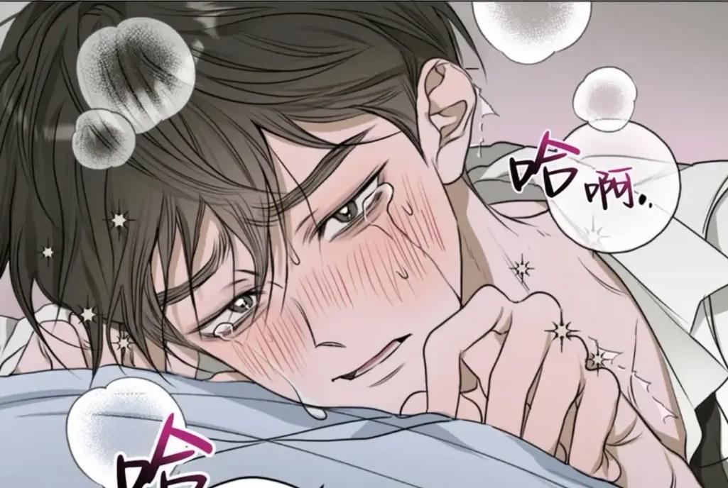 综艺排行第四